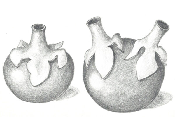 Dessin de projets céramique en visio